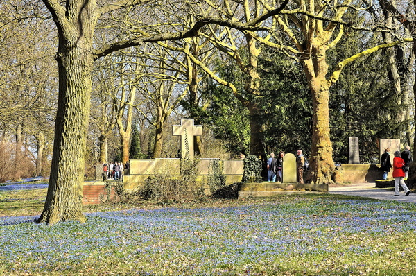 Fruehling2012   052.jpg